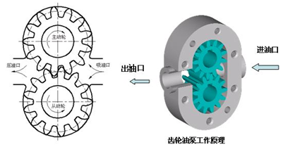 齒輪泵結構原理圖