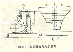 大東海泵業(yè)離心泵軸向力示意圖